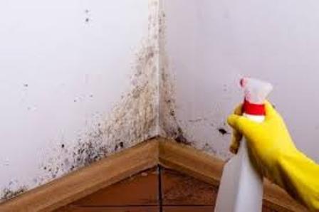 با جوش شیرین چگونه خانه را تمیز کنیم؟